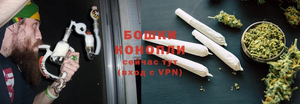 мдпв Осташков