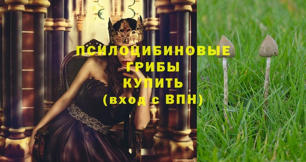 каннабис Арсеньев