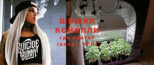 крисы Армянск